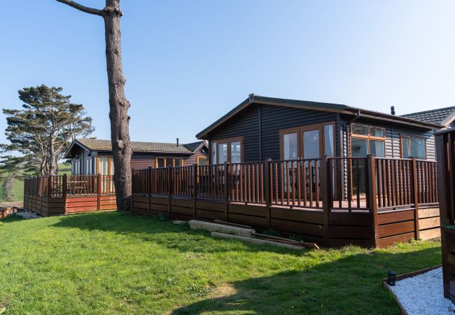 Chalet in Torpoint - Serendipity Lodge Chalet in Torpoint - Serendipity Lodge