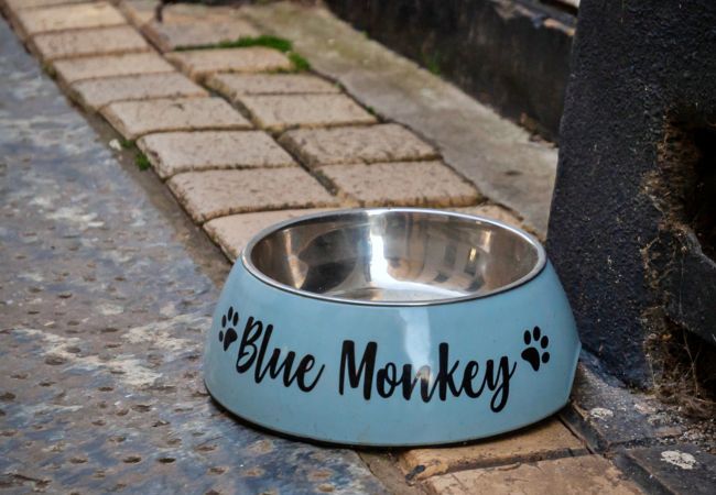 House in Cawsand - Blue Monkey House in Cawsand - Blue Monkey