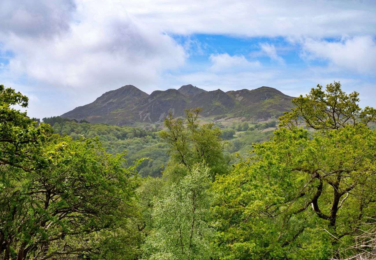 Cottage in Dolgellau - Y Cwtch
